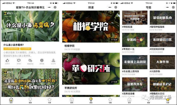  德甲联盟与抖音达成新媒体转播协议  